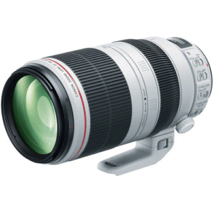 Canon EF 100-400mm